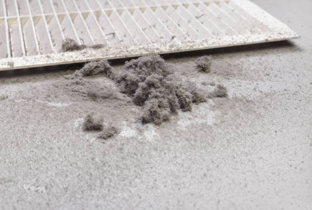 Best Best Air Duct Cleaning Company  in Taylorvle, IL