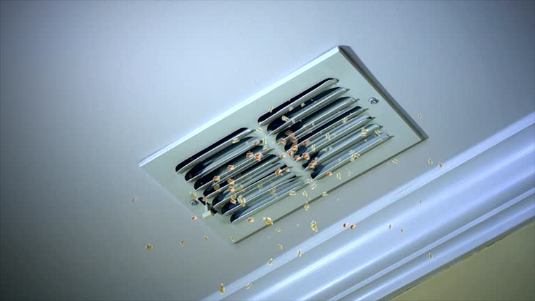 Best Air Duct Cleaning Cost  in Taylorvle, IL