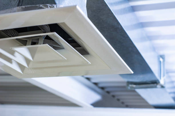 Best Affordable HVAC Duct Cleaning  in Taylorvle, IL