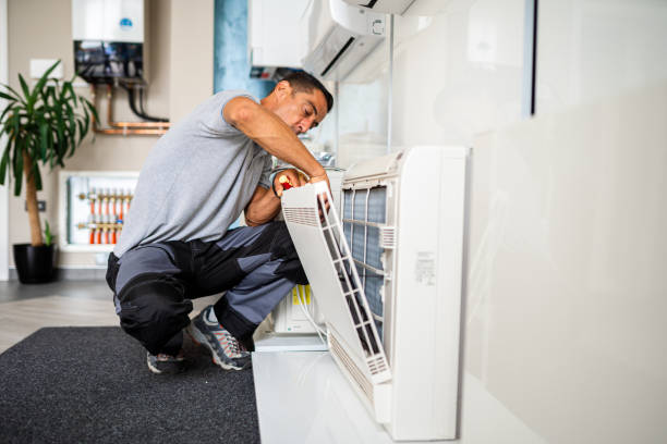 Best Duct Cleaning for Homes  in Taylorvle, IL
