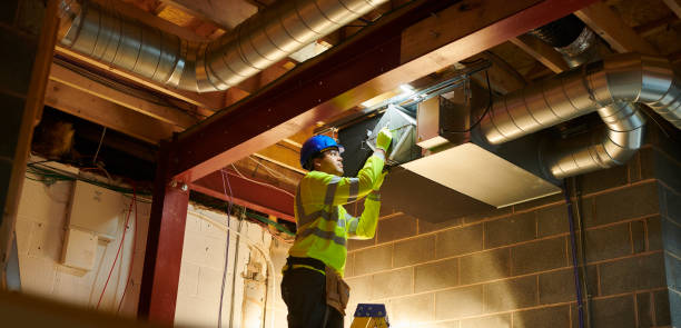 Best HVAC System Cleaning  in Taylorvle, IL