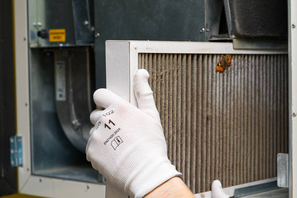 Best Ductwork Cleaning Services  in Taylorvle, IL