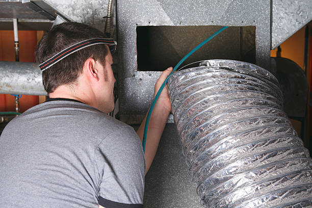 Best Professional Duct Cleaning Services  in Taylorvle, IL