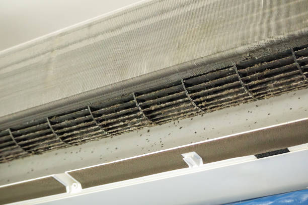 Best Commercial Air Duct Cleaning  in Taylorvle, IL