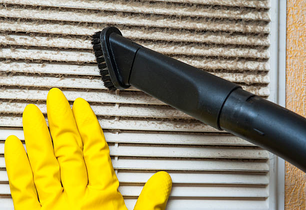 Best Home Air Vent Cleaning  in Taylorvle, IL